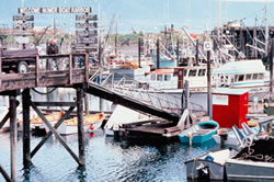 Seward Small Boat Harbor
